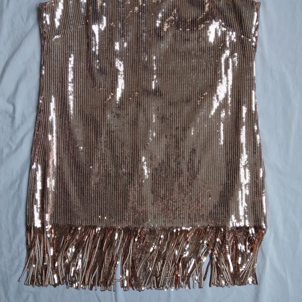 Flapper Dress Lined Champagne Pink 1920s Style Gatsby Sequins Fringe Size 14 - Picture 3 of 11